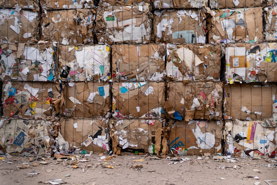Bales of recycled cardboard stacked at processing facility
